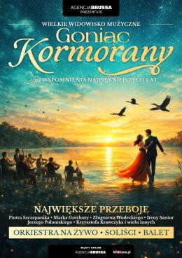 Rybnik Wydarzenie Koncert Goniąc Kormorany - wspomnienia najpiekniejszych lat
