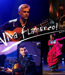 Rybnik Wydarzenie Spektakl Viva Flamenco