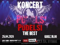 Rybnik Wydarzenie Koncert Koncert Zespołu Püdelsi