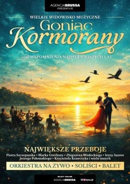 Rybnik Wydarzenie Koncert Goniąc Kormorany - wspomnienia najpiekniejszych lat